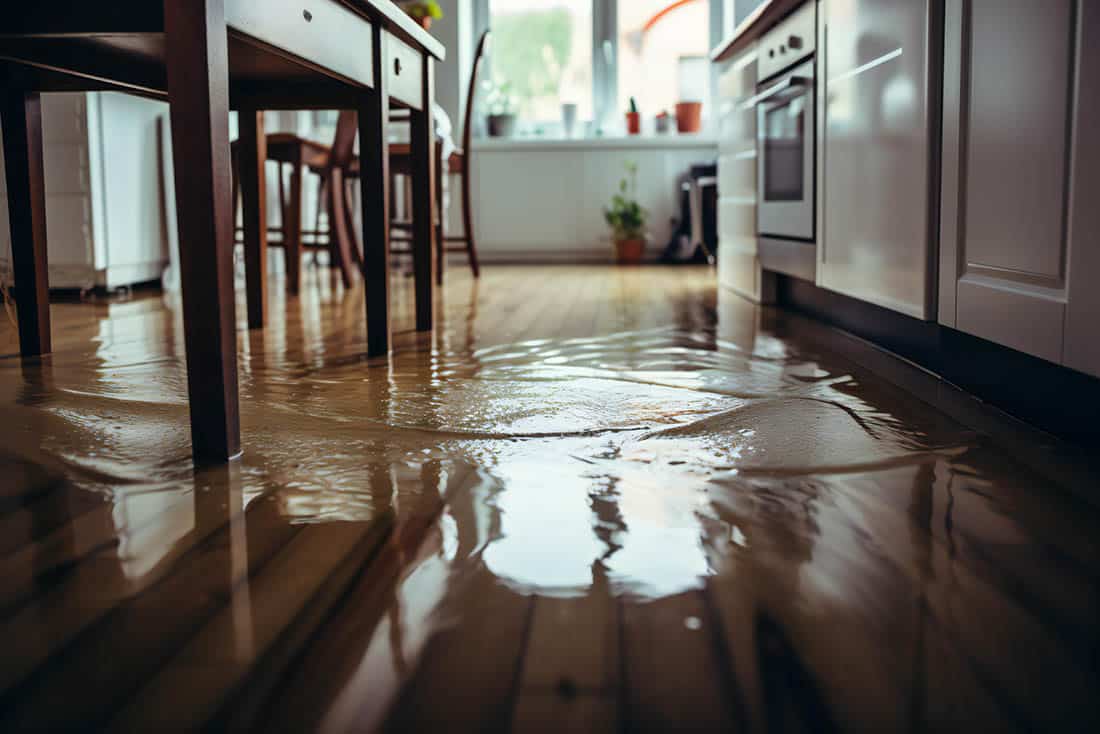 Contemporary Kitchen Chaos: A Close-Up of Waterlogged Flooring plumbing EmergencyService Supporting 1100x734 1